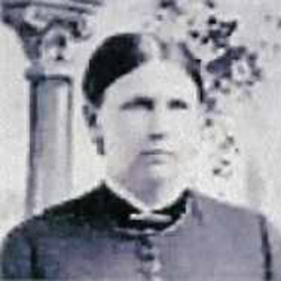 Louise Turner (1845 - 1924) Profile
